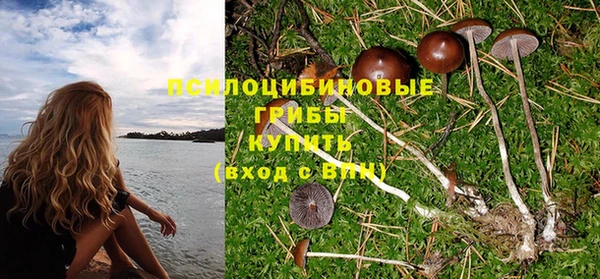 PSILOCYBIN Михайловка