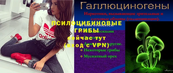 PSILOCYBIN Михайловка