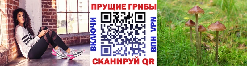 KRAKEN вход Хвалынск Галлюциногенные грибы прущие грибы купить